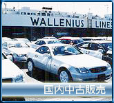 自動車国内中古販売